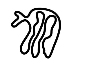 Mecaglisse Circuit Decal