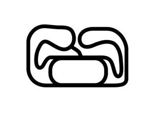 NAPA Speedway (Sandia) Decal