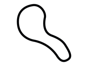 Atlanta Motorsports Park Oval Decal