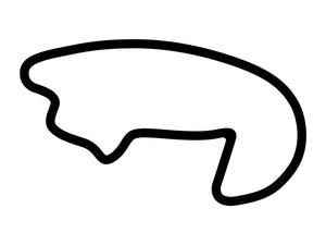 Michigan International Speedway Road Course Decal