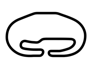 Texas Motor Speedway Roval Course Decal