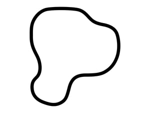 Porsche Experience Center (Atlanta) South Course Decal