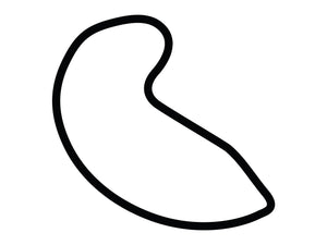 Atlanta Motorsports Park Course Variant 1 Decal
