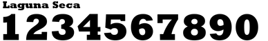 Laguna Seca